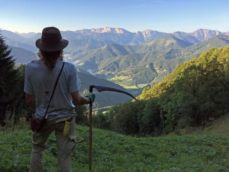Mitmachen – Bergwiesen retten