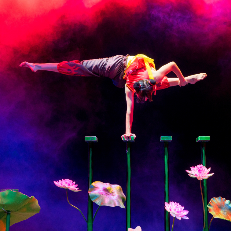Tickets zum Vorteilspreis: GAIA – Die Arena Show
