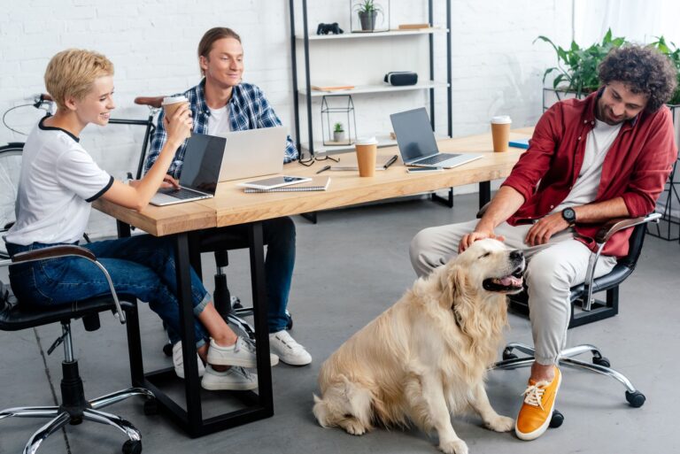Bürohunde: Vierbeiner zum Wohlfühlen