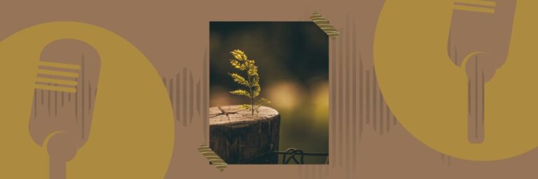 Podcast-Check: Wind & Wurzeln